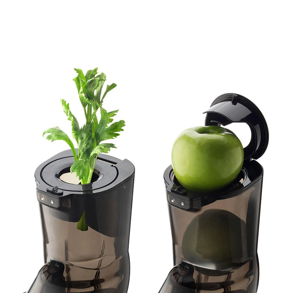 Kuvings Whole Slow Juicer EVO820 - Champagne, Gold