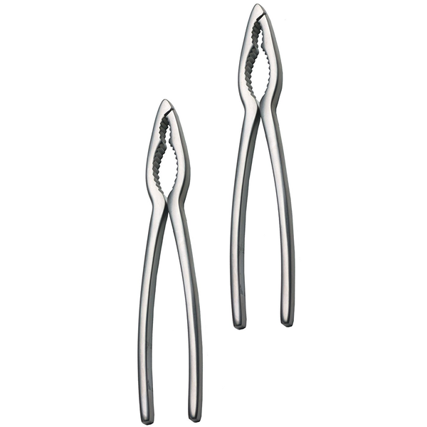 RSVP ENDURANCE® CRAB CRACKERS