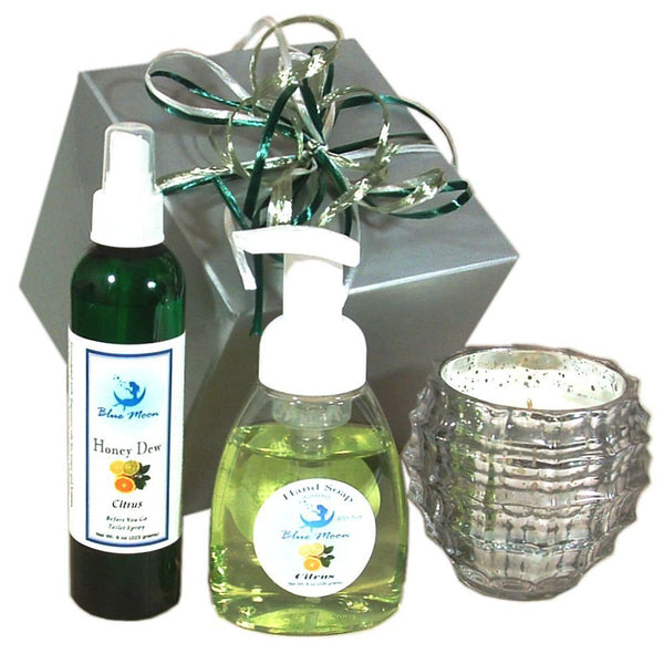 Blue Moon Citrus Lemon Keep Home Smelling Fresh Gift Set Housewarming Gift
