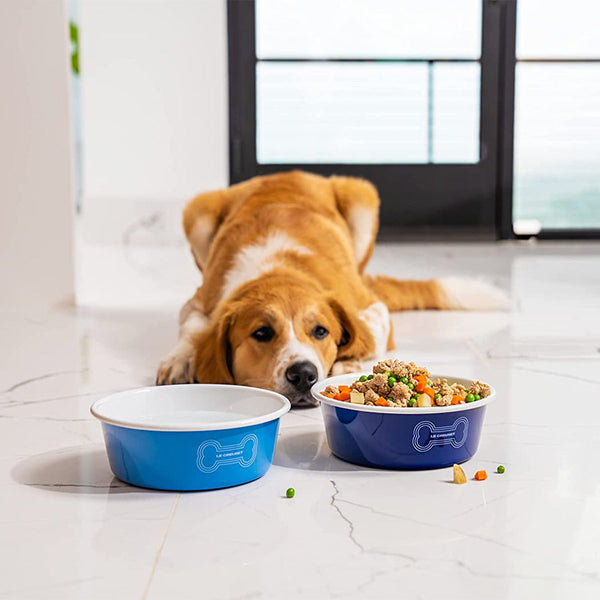 Le Creuset 6 cup Large Dog Bowl - Red