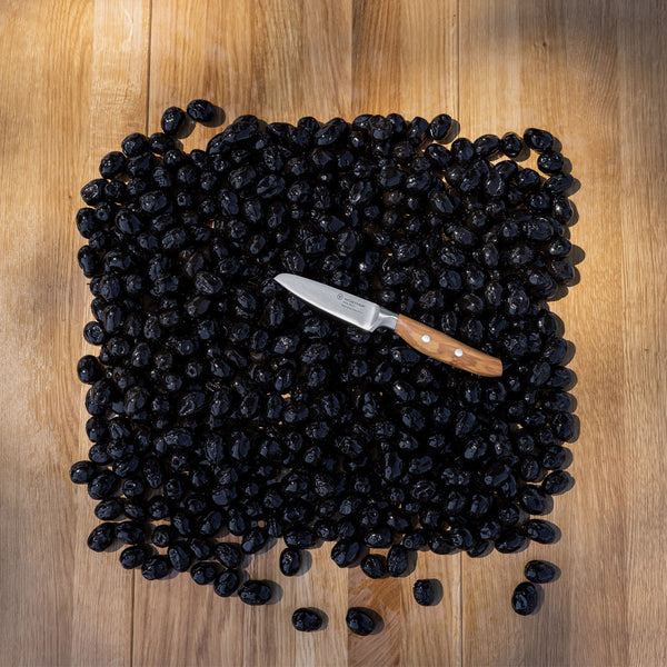 Wusthof Amici 3.5" Paring knife